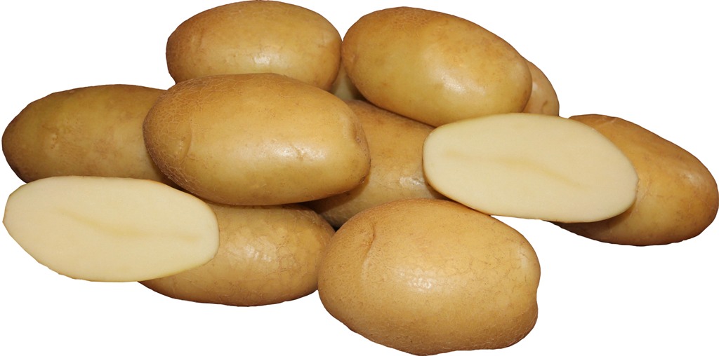 Картофель Армада