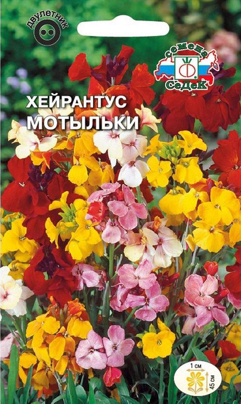 

хейрантус (лакфиоль) мотыльки семена, хейрантус (лакфиоль) мотыльки семена купить