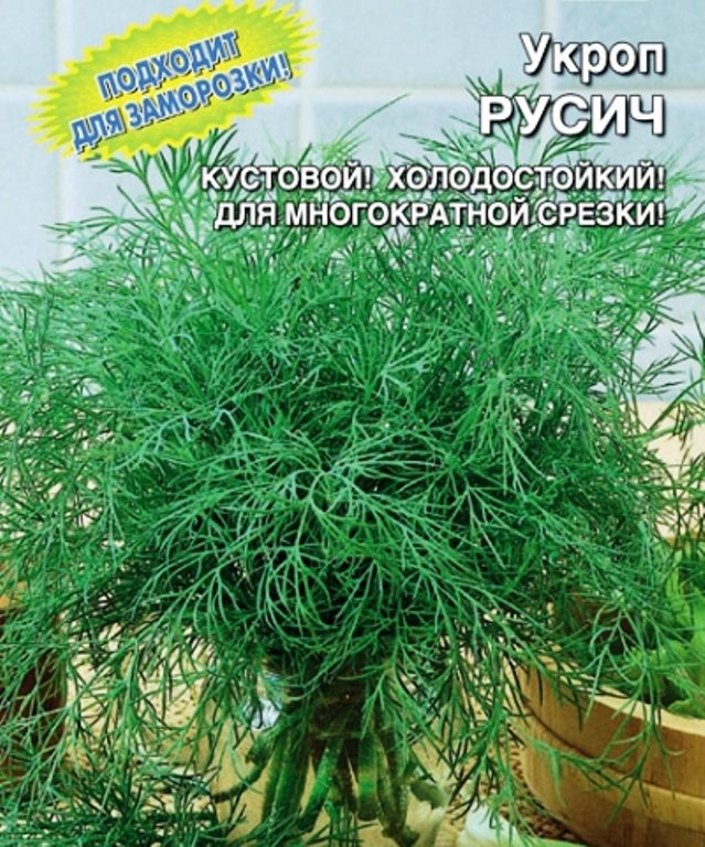 Укроп Русич