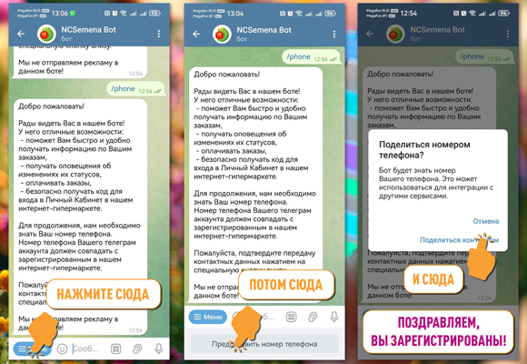 Электроник_2.jpg