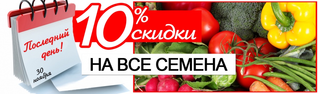 Купить Семена Со Склада