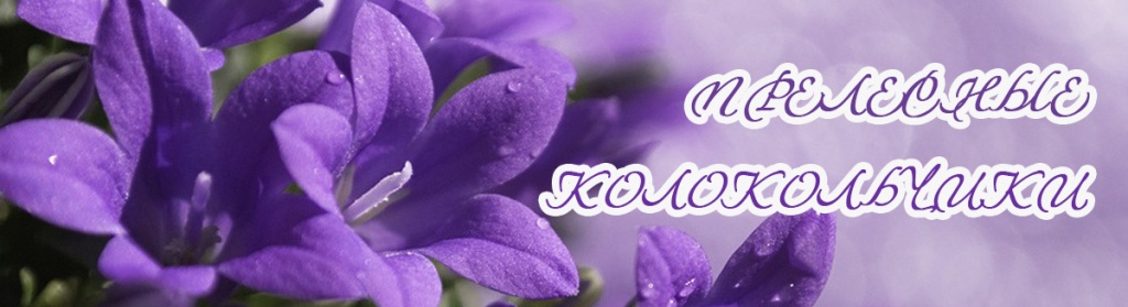 колокольчики-шапка-web1.jpg