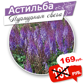 много1.jpg