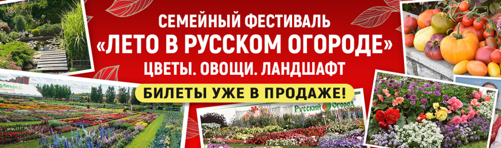 Анонс-ДОД-2025_апд.jpg