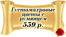 c_8.jpg
