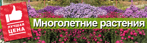 Садовый Мир Интернет Магазин Купить Каталог 2025