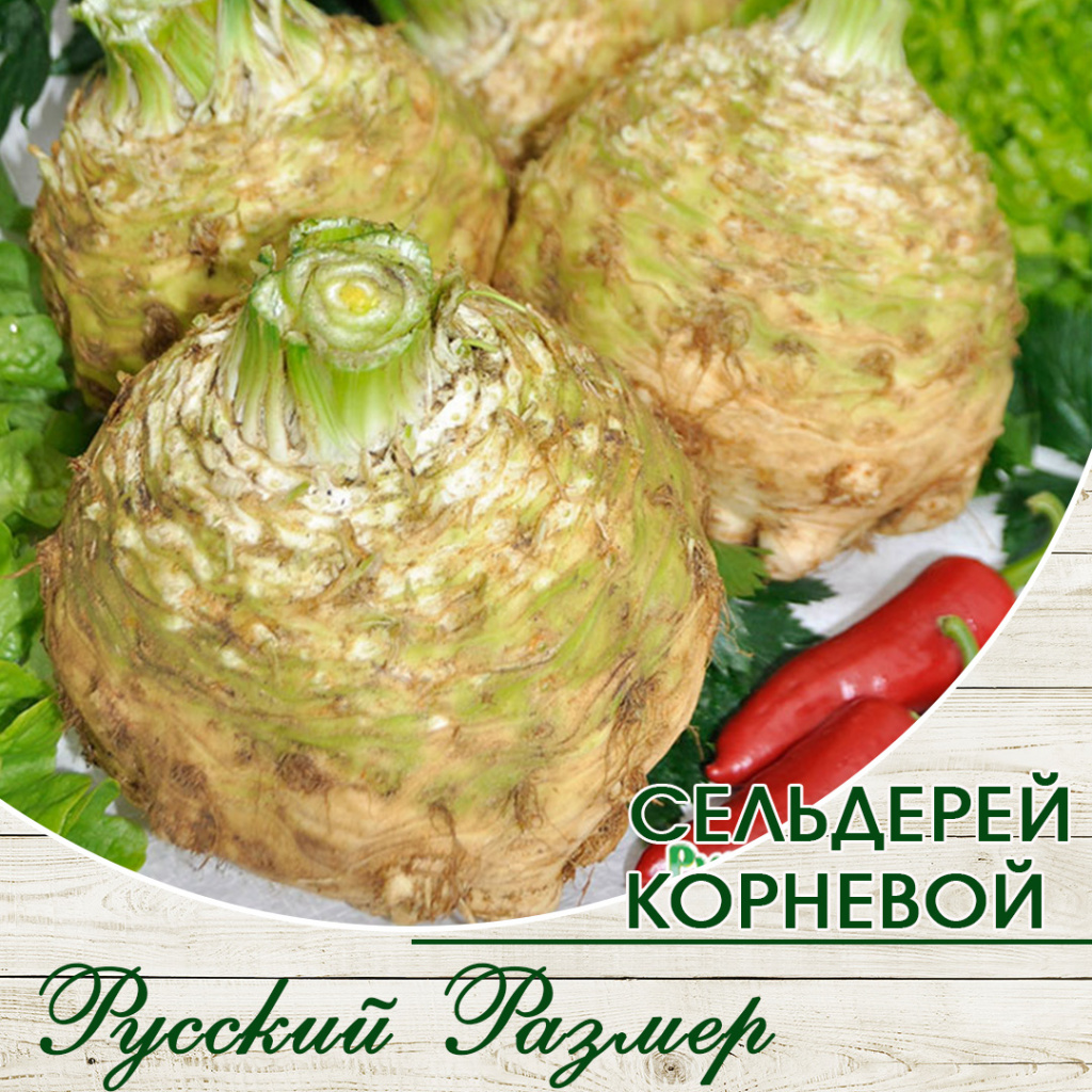 Где Купить Корень Сельдерея В Москве