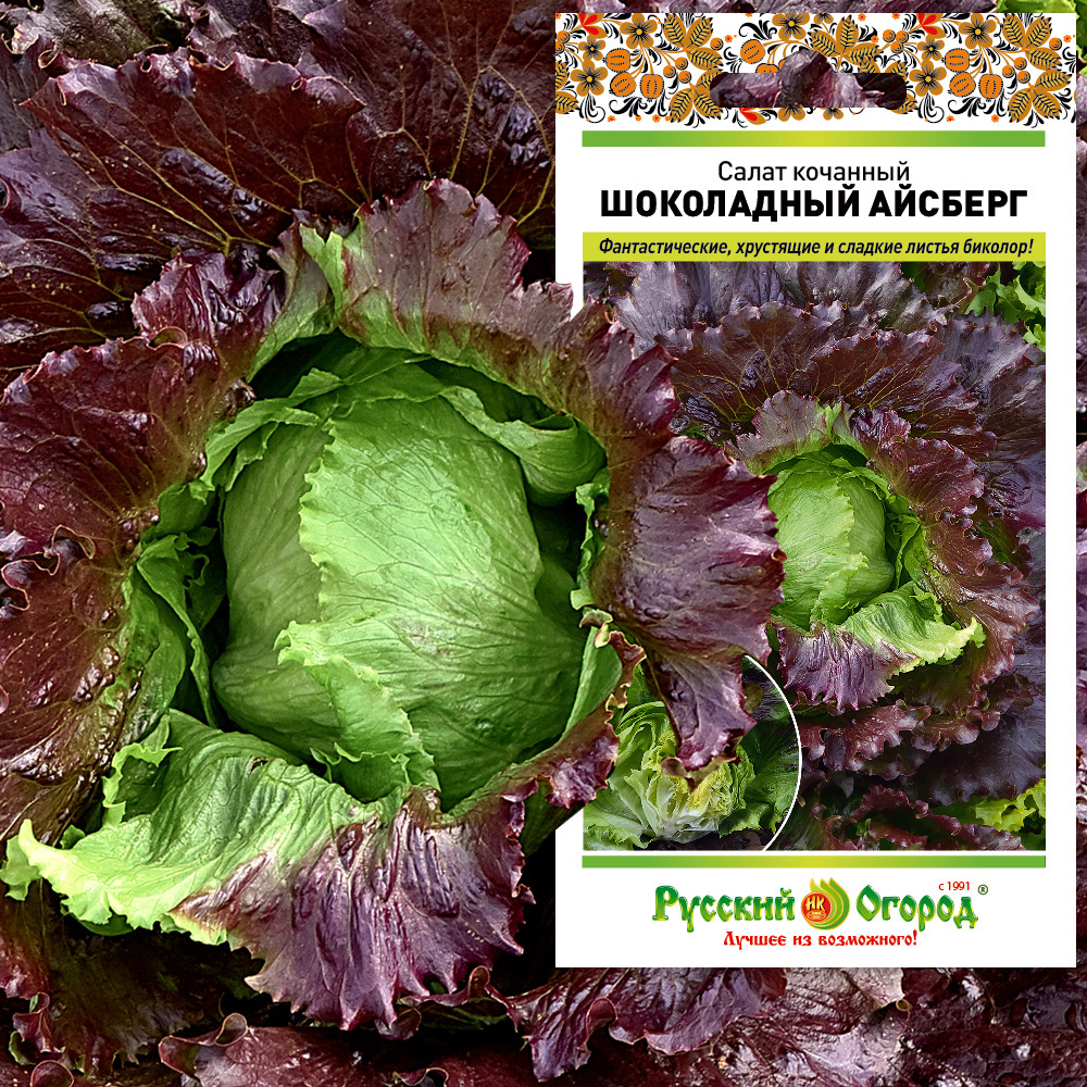 _Ш_Айсберг.jpg