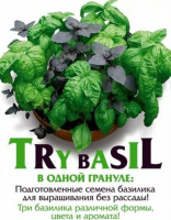 Базилик Try Bazil БукетАрома - купить с доставкой