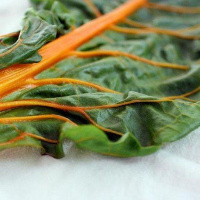 Мангольд Оранжевый - купить с доставкой