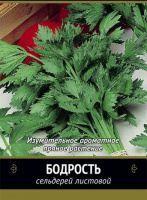 Сельдерей листовой Бодрость - купить с доставкой