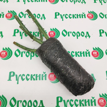 Стандарт поставки 4 Роза Таро
