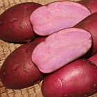 Картофель Сюрприз