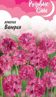 Армерия Валерия серия Розовые сны - купить с доставкой