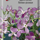 Лилово-розовый