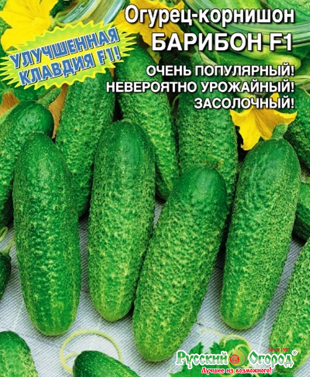 Огурец карина f1