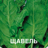 Щавель Крупнолистный  - купить с доставкой