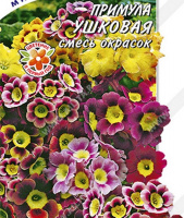 Примула ушковая, смесь окрасок - купить с доставкой