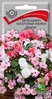 Бальзамин махровый Афина Деметра - купить с доставкой