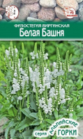 Физостегия виргинская Белая Башня - купить с доставкой