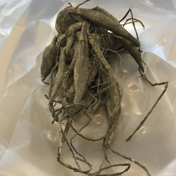 Стандарт поставки 13 Георгина Синсерити