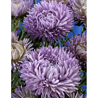 Светло-голубой