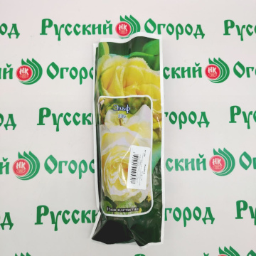 Стандарт поставки 1 Роза Эльф