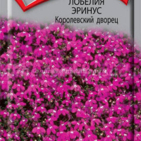 Лобелия эринус Королевский дворец  - купить с доставкой