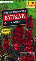 Лобелия Вулкан красная - купить с доставкой