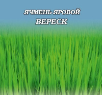 Ячмень яровой Верес - купить с доставкой