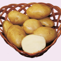 Картофель Лорх - купить с доставкой
