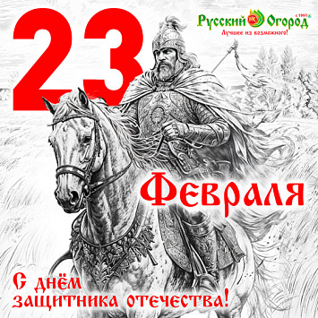 С 23 Февраля!