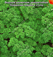 Петрушка кудрявая Кружево ® - купить с доставкой