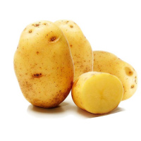 Картофель Бентье - купить с доставкой