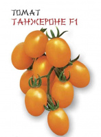 Томат Танжероне F1 - купить с доставкой