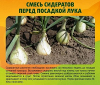 Смесь сидератов для Лука 0,5 кг. - купить с доставкой
