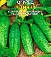 Огурец F1 Регия  - купить с доставкой