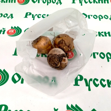 Стандарт поставки 4 Нарцисс Эпл Пай