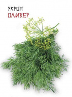 Укроп Оливер - купить с доставкой