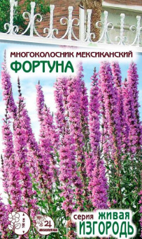Многоколосник мексиканский Фортуна