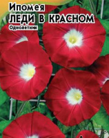 Ипомея Леди в красном - купить с доставкой