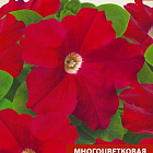 Красно-желтый