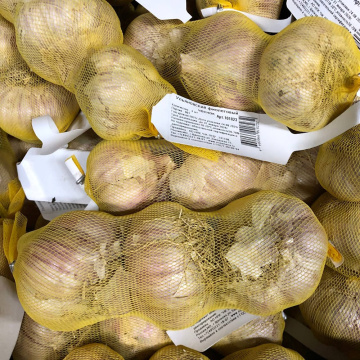 Стандарт поставки 5 Чеснок Ульяновский фиолетовый 