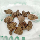 Смесь анемон Де Каен