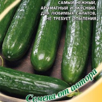 Огурец F1 Месье Оливье салатный - купить с доставкой