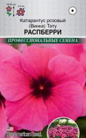 Катарантус розовый (Винка) Тату Распберри - купить с доставкой