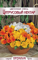 Цветочная смесь Цитрусовый нектар - купить с доставкой