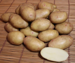 Bramborový obr