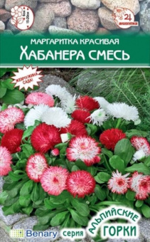 Маргаритка красивая Хабанера смесь