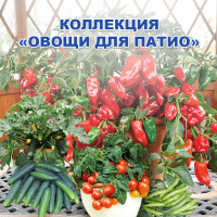 Коллекция Овощей для патио - купить с доставкой